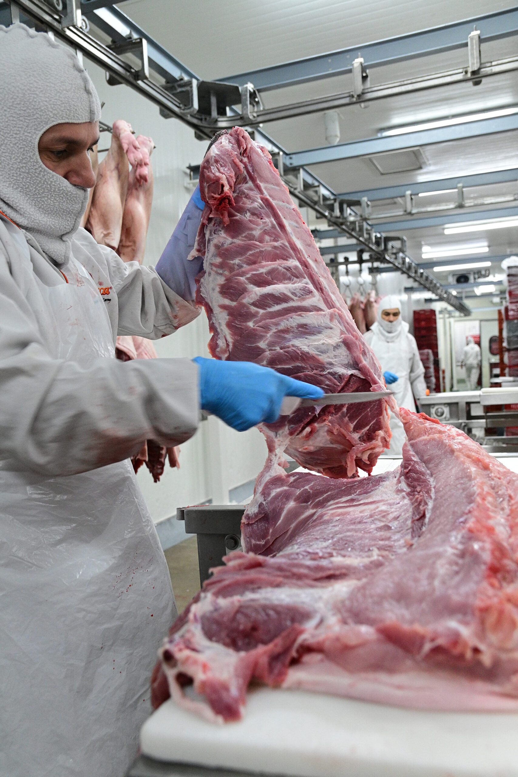 carne al por mayor en Medellín para carnicerías
