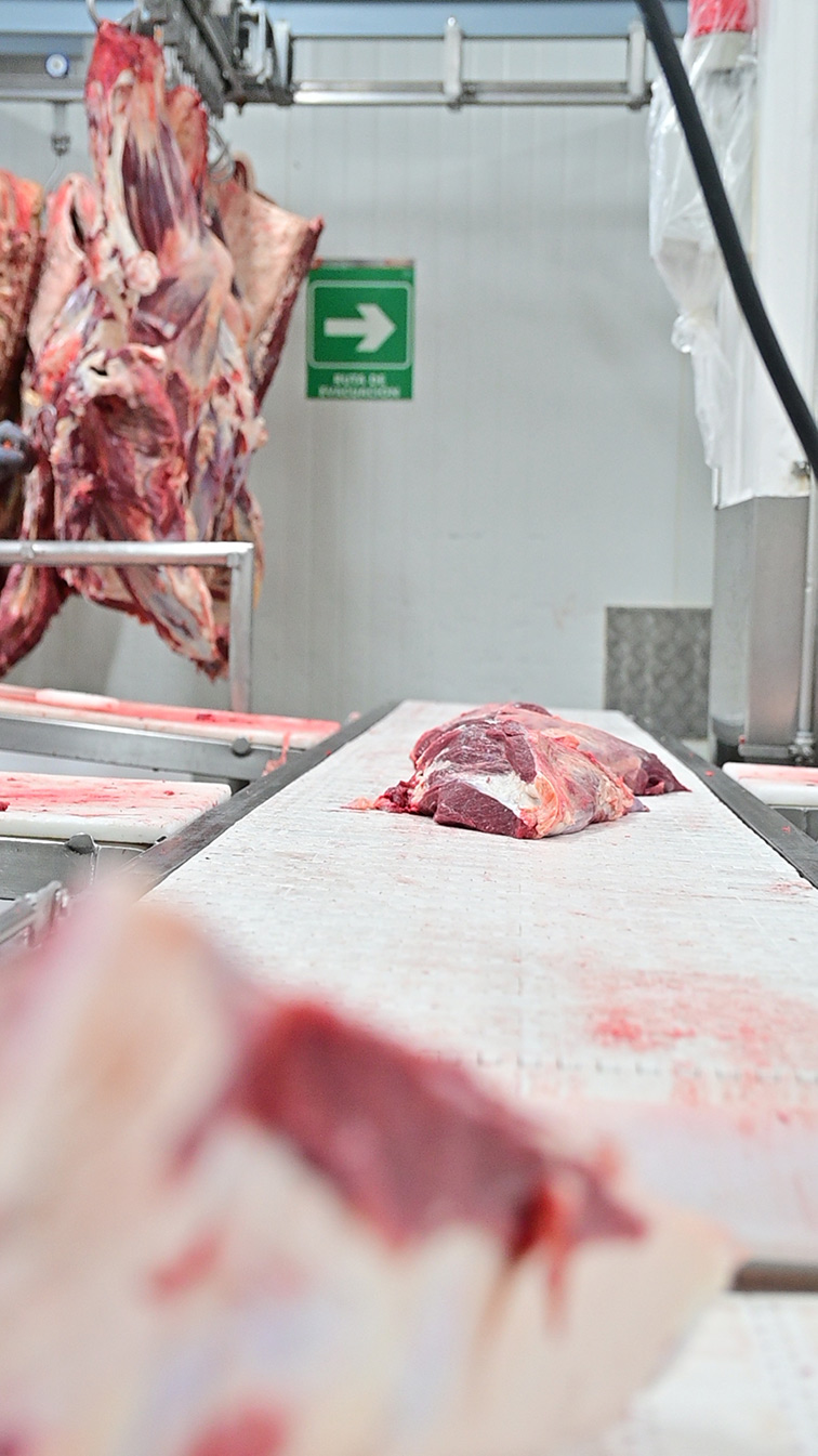 proveedor de carne para supermercados en Medellín